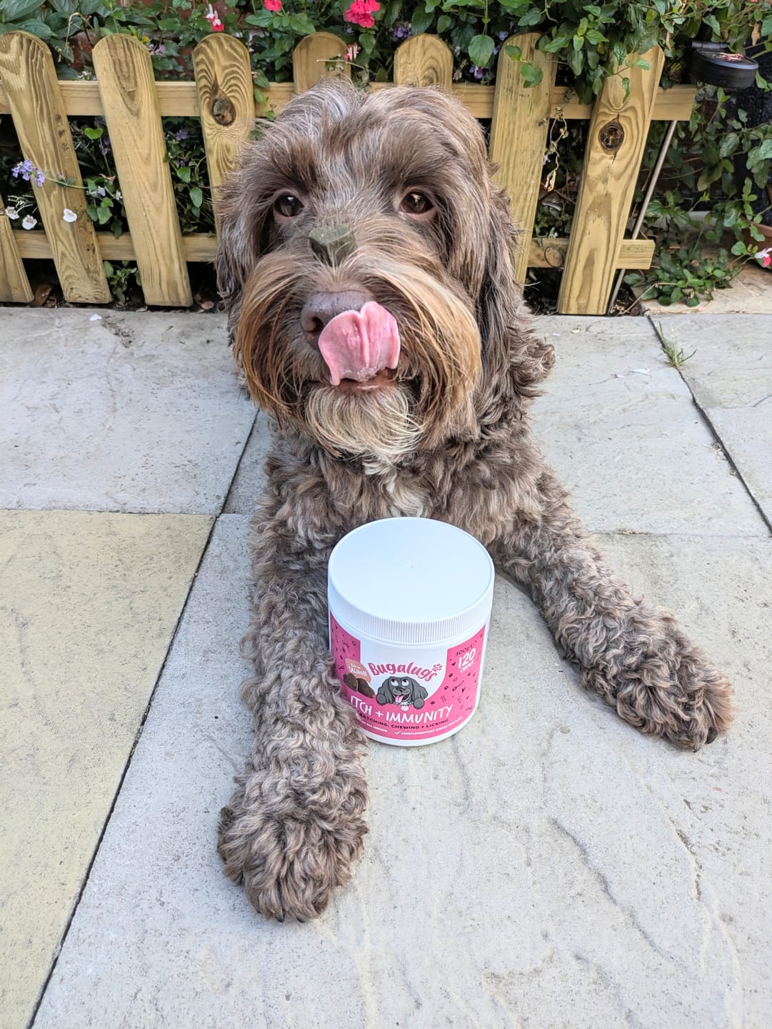 Customer photo review of Itch & Immunity Supplement Chews for Dogs