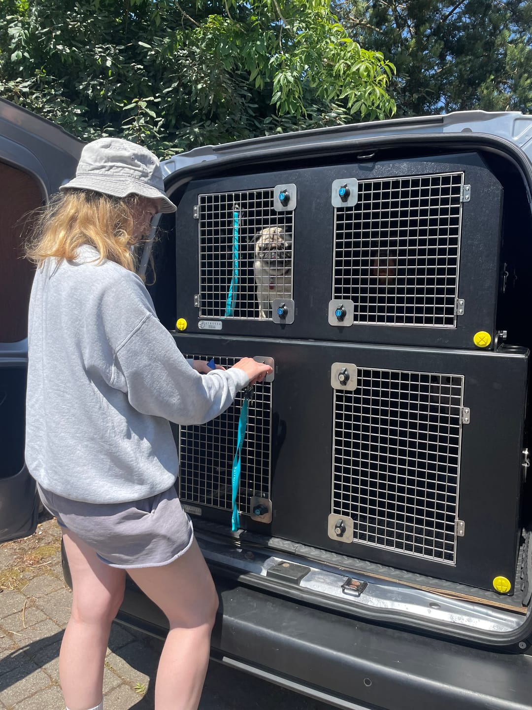 Customer photo review of Dog Van Kit | Citroën Berlingo | 2008-Present | Double stack | DT VS1