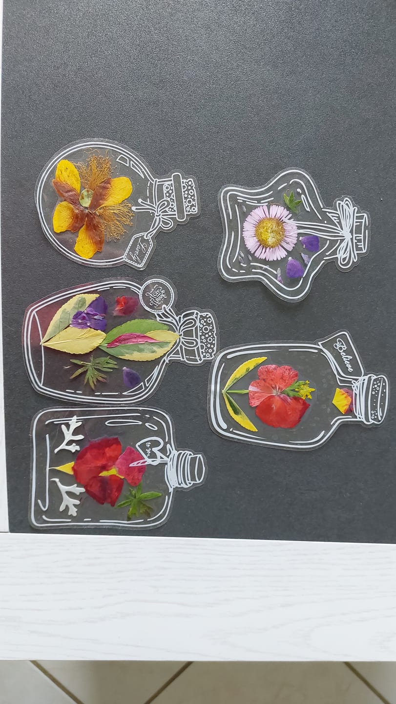 Customer photo review of Marque-pages Transparents Floraux Artistiques (Lot de 20 + 10 Offerts)