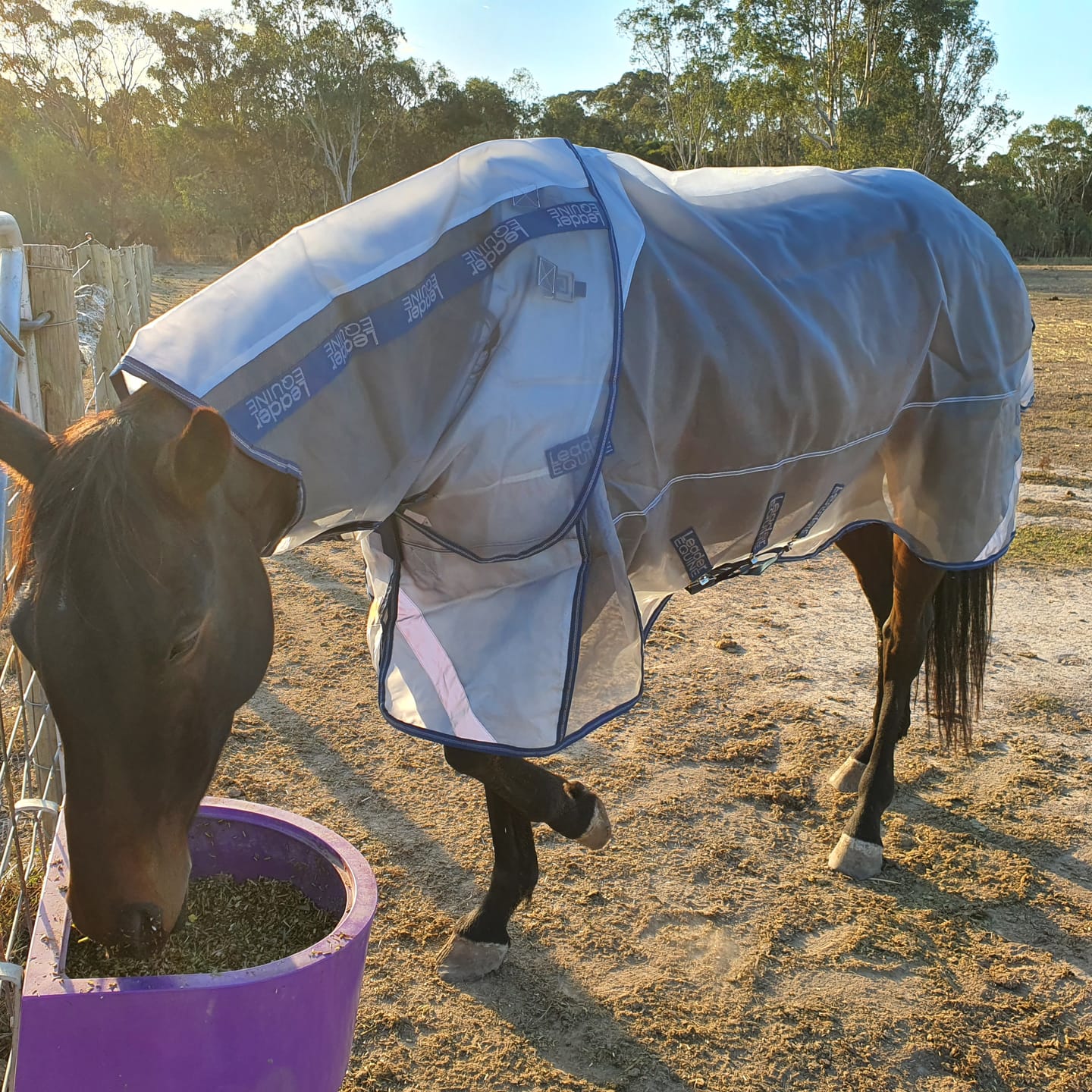 Customer photo review of LE Defender Anti-Insect Fly Rug