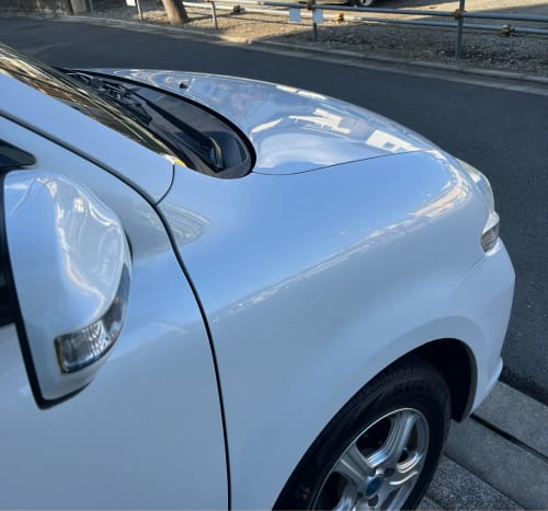 Customer photo review of Ceramic Shield™ – Professional Shine & Protection in Seconds