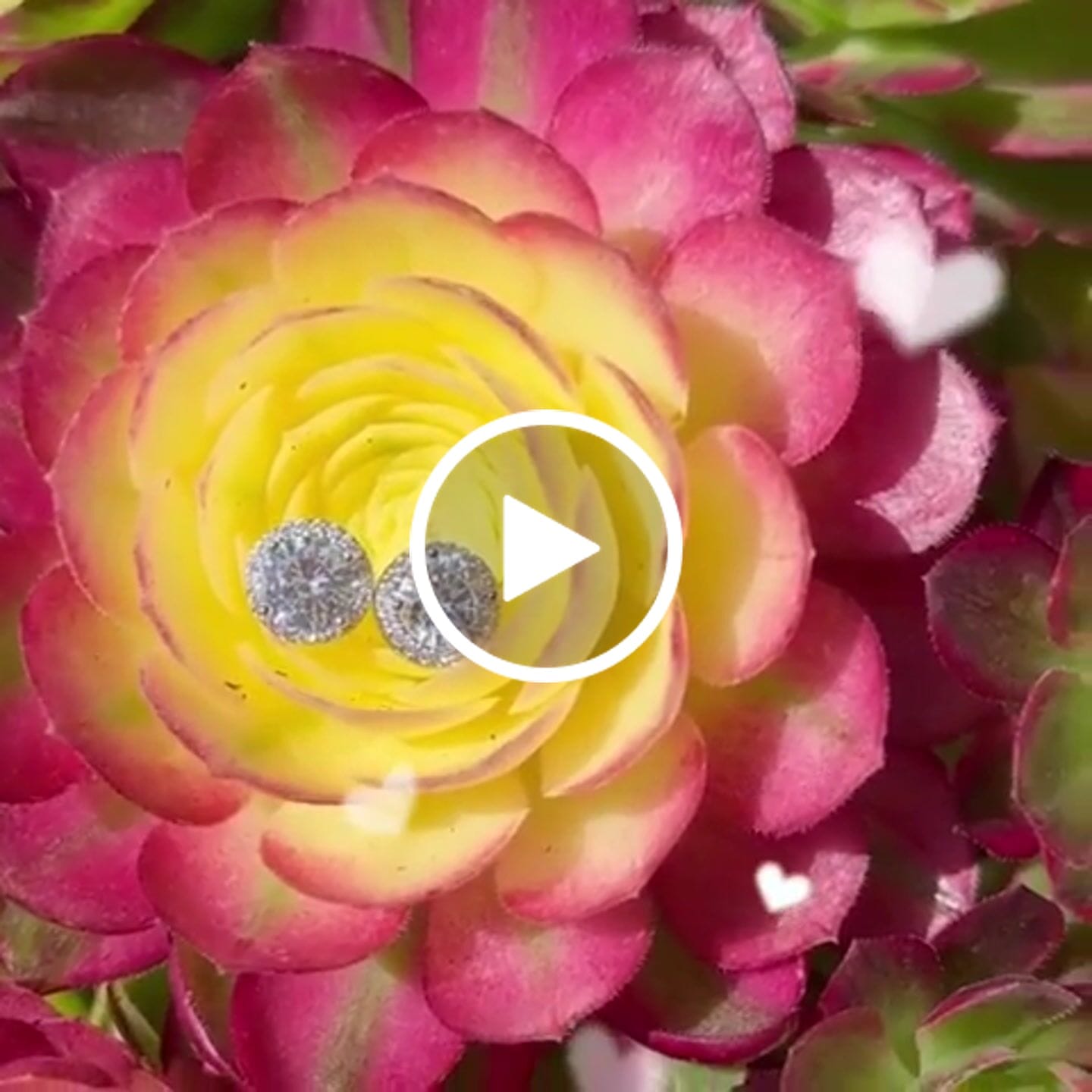 Customer video review of Sophia 18k White Gold Plated Halo Stud Earrings with Round Cut Simulated Diamond Crystals