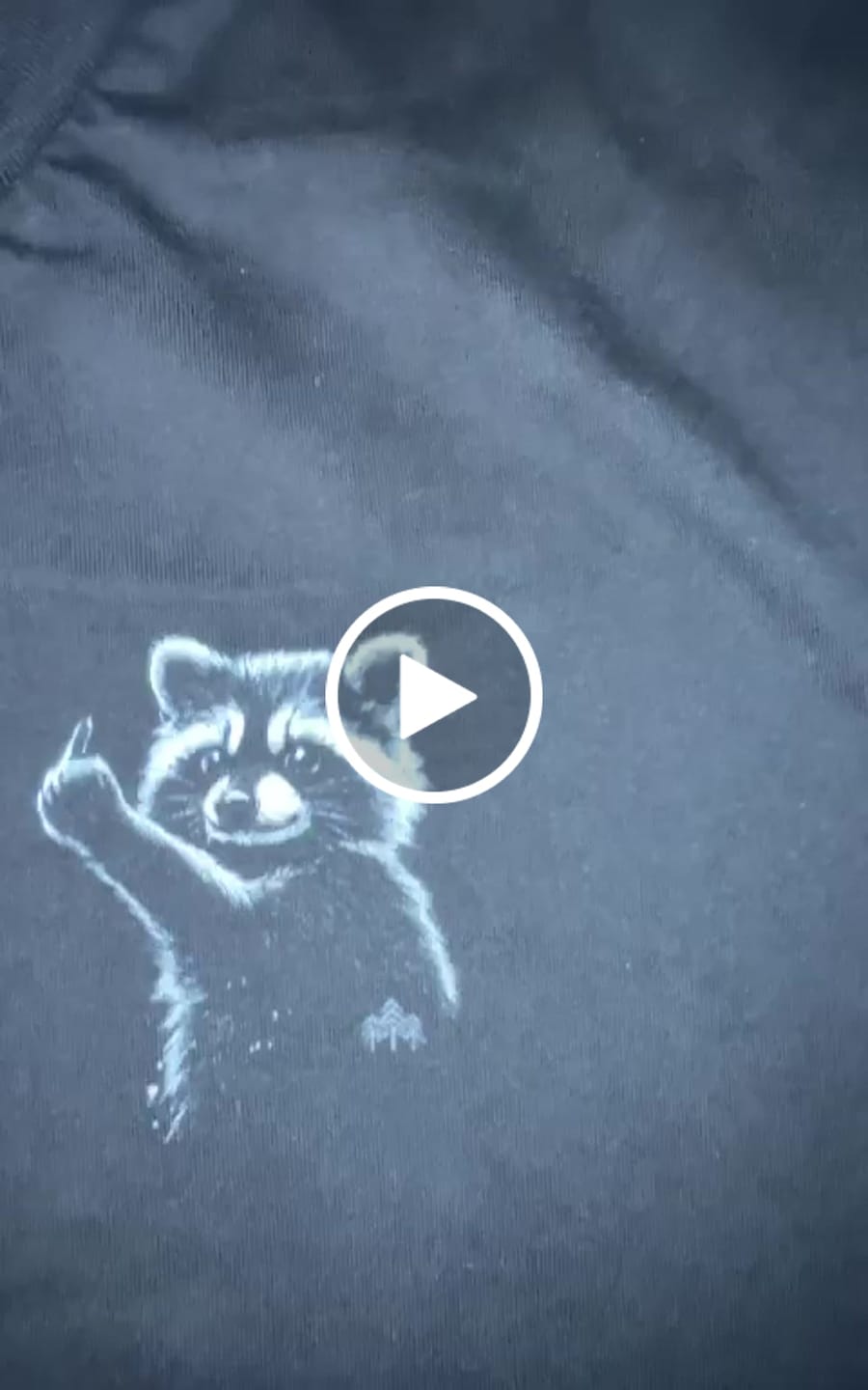 Customer video review of Frecher Waschbär (klein) - Bio Herren Shirt