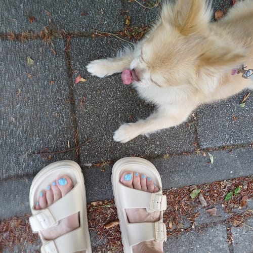 Customer photo review of HappyCushers