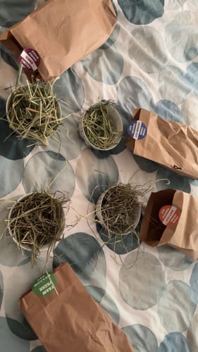 Customer photo review of Taster Pack