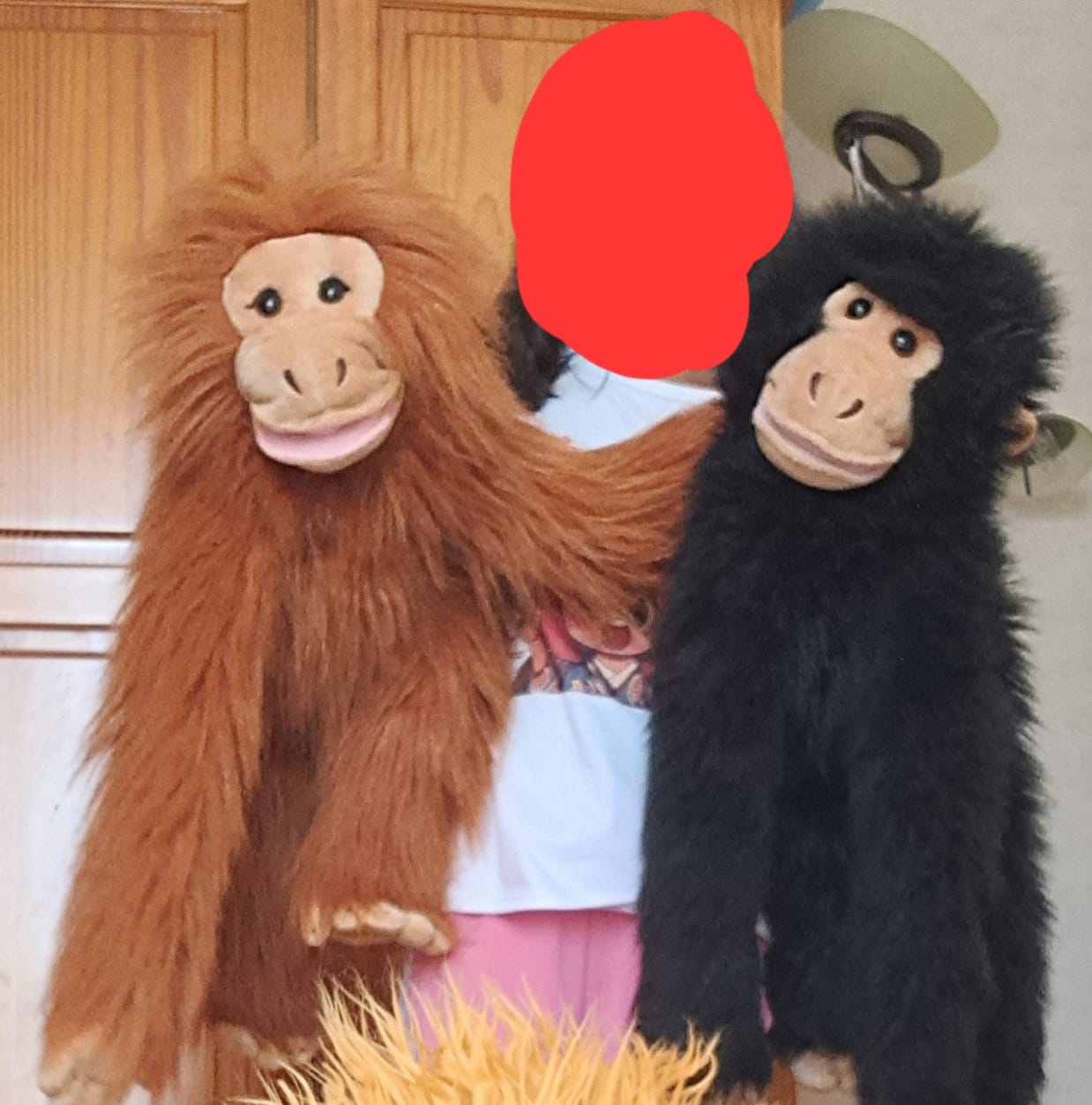 Customer photo review of Singe Marionnette