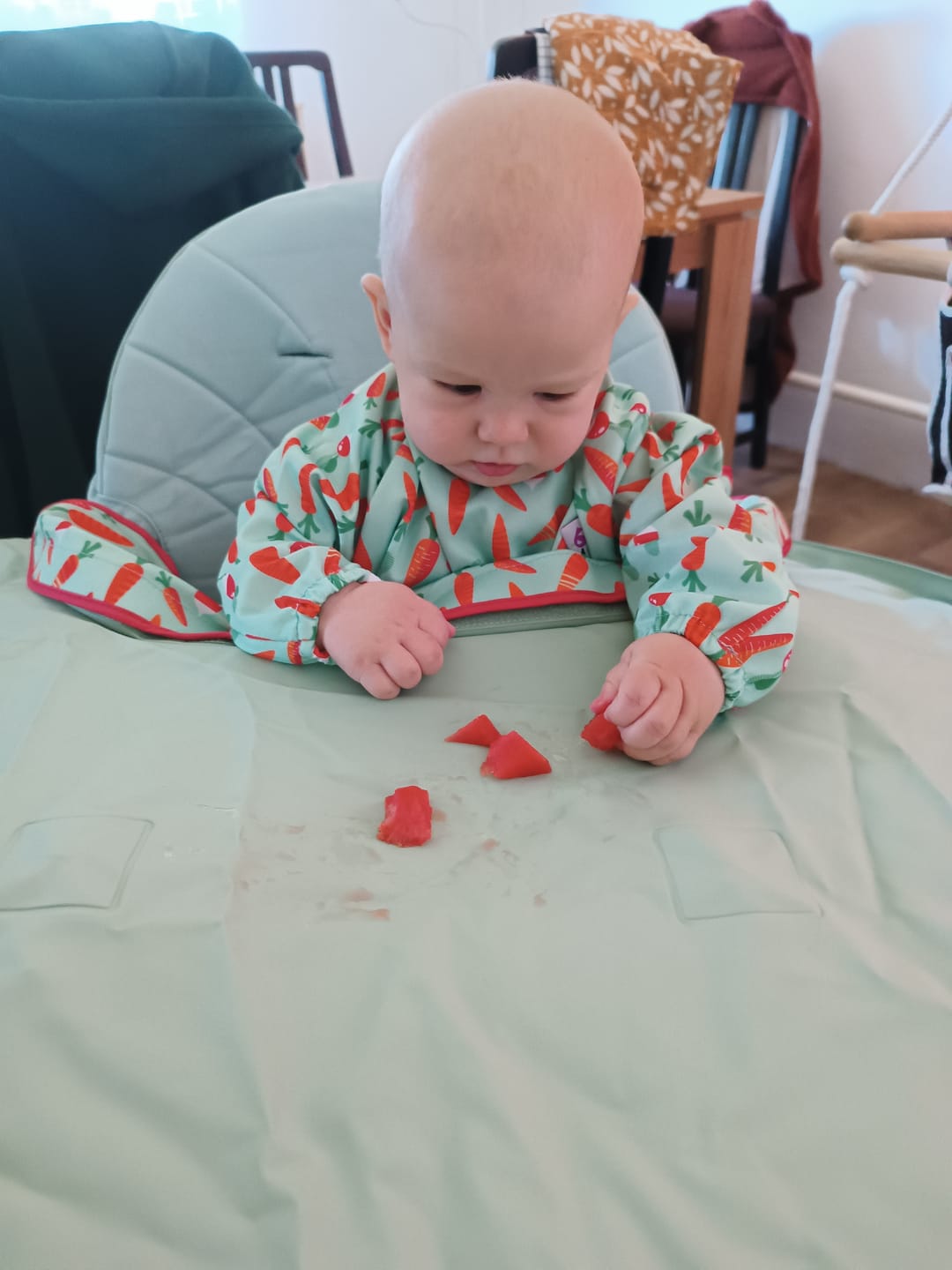 Customer photo review of Bib & Tray Kit