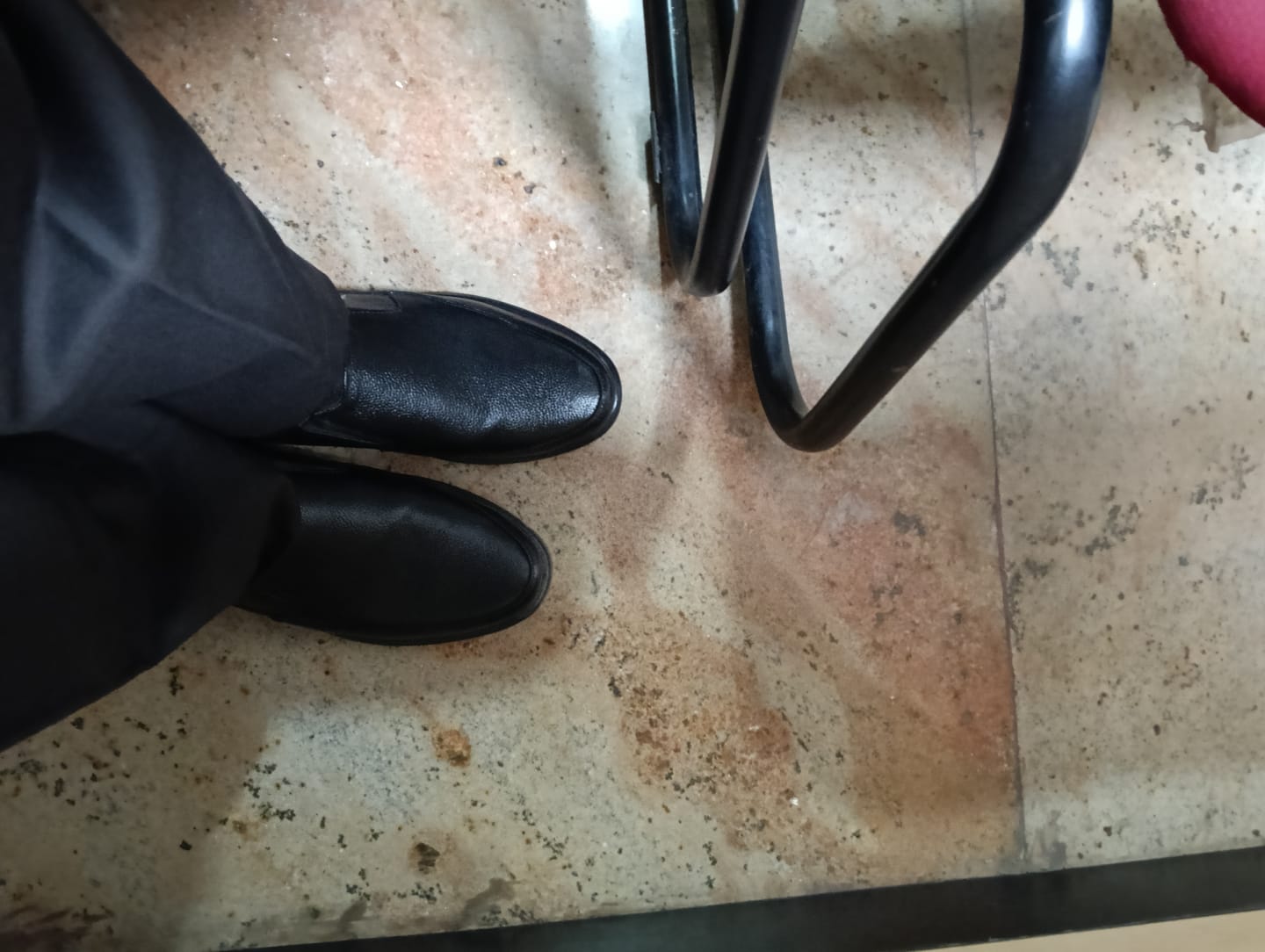 Customer photo review of Bacca Bucci Leather Office Slip-ons Formal Shoes | UK- 06 to 14