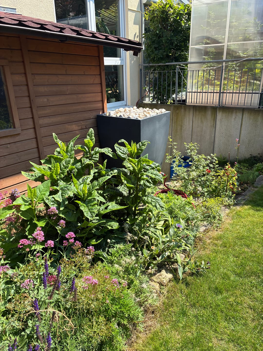 Customer photo review of YourCasa Regentonne 100-200 Liter [PureFlow] - Frostsicher & UV-beständig
