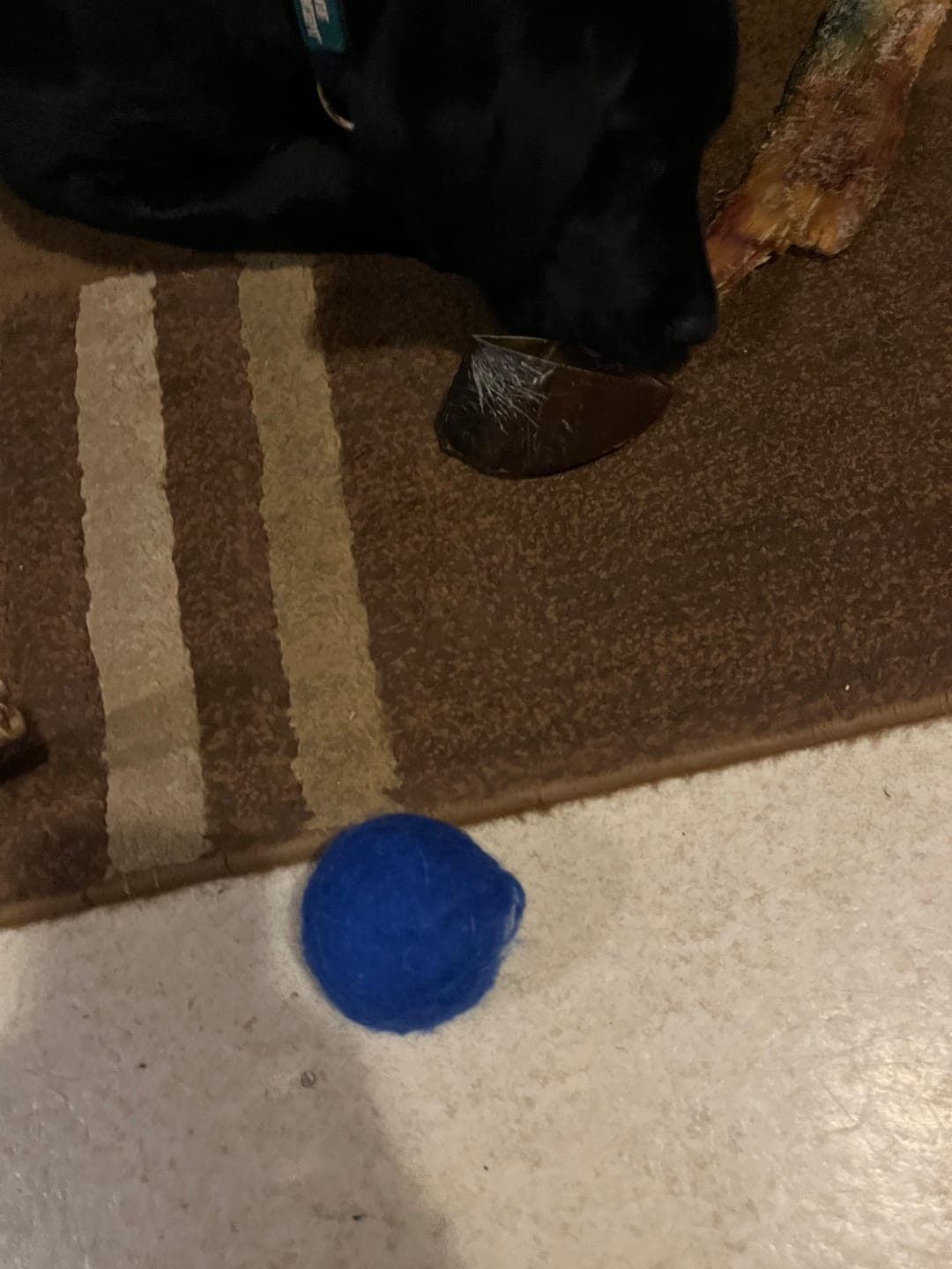 Customer photo review of Cow Hooves