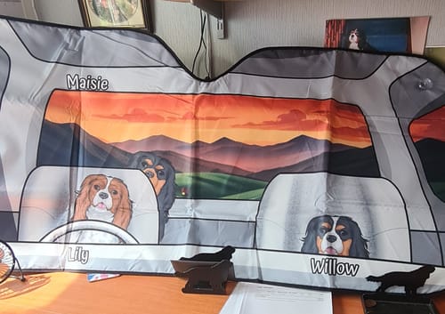 Customer photo review of Furry ride - Personalised Car Sunshade