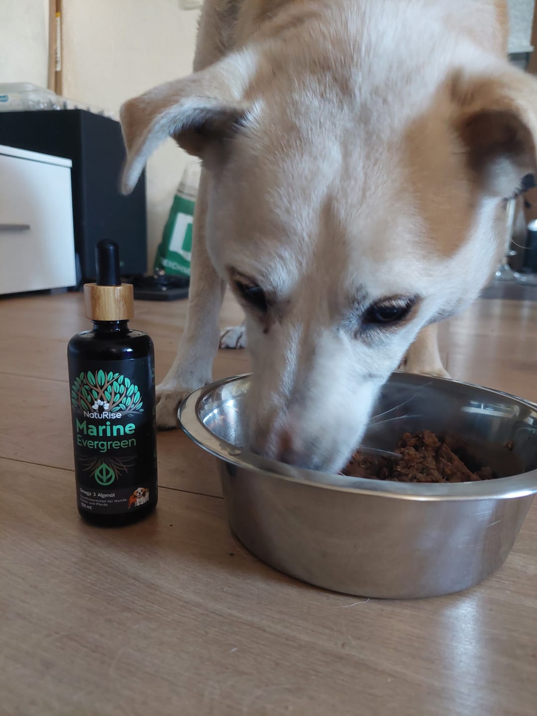 Customer photo review of Omega 3 Algenöl Haustiere