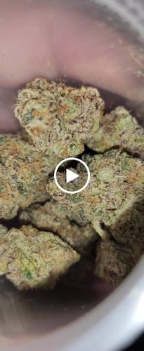 Customer video review of Amsterdam Cheese