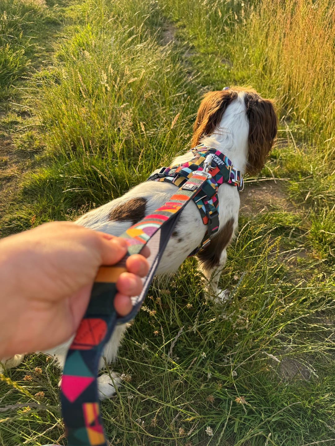Customer photo review of Close Control Lead
