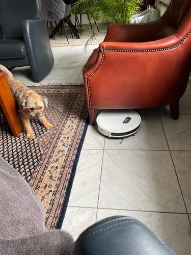 Customer photo review of Robotstofzuiger met dweilfunctie / 4000 Pa / Vegen, stofzuigen, dweilen / 3-in-1 robotstofzuiger / Wifi / Alexa & app-bediening / Ideaal voor dierenharen, tapijten en harde vloeren