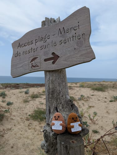 Customer photo review of PATATE POSITIVE