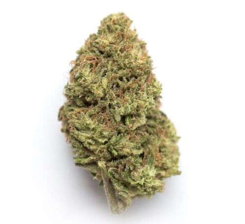 Customer photo review of Purple Haze THC-A Flower (sativa)