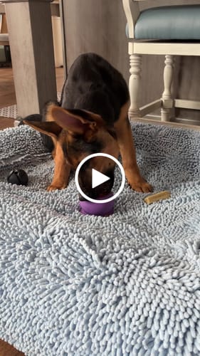 Customer video review of Freezball - Durable Fillable Dog Chew Bone