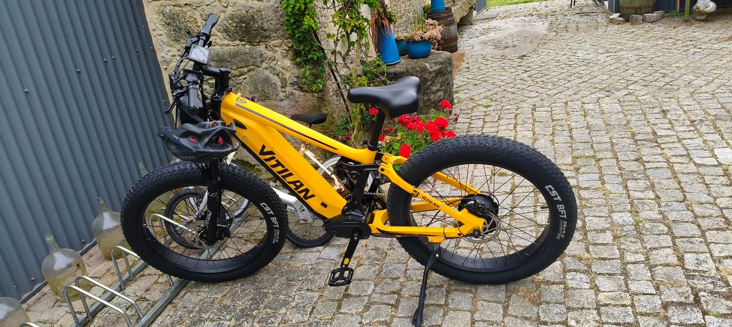 Customer photo review of T7 Full Suspension Mountain E-bike