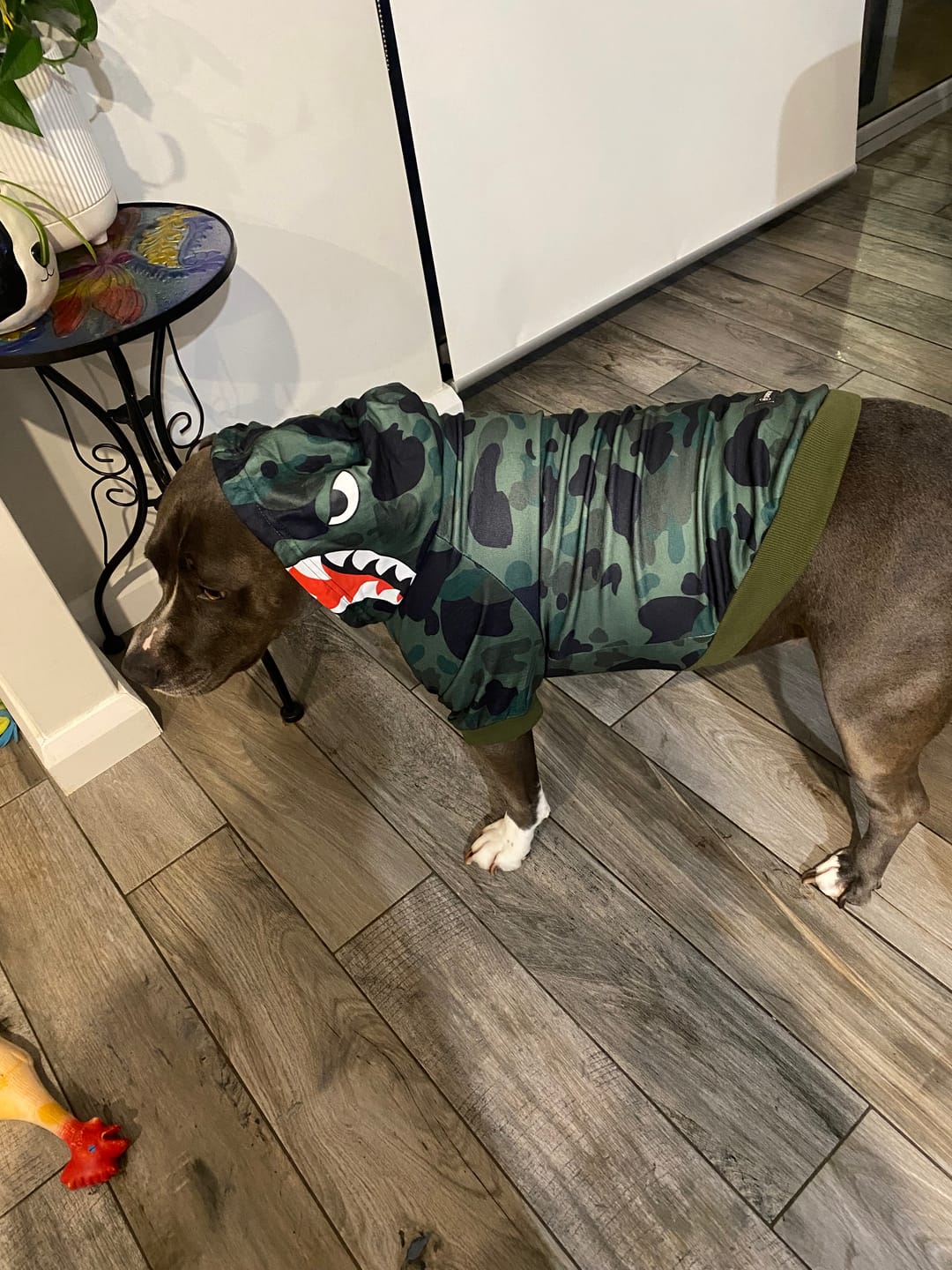 Customer photo review of Shark Monster Dog Hoodie - Green Camo