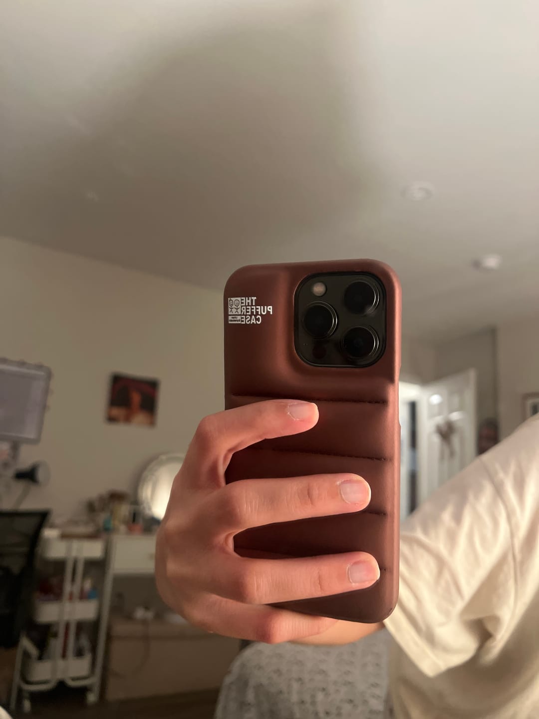 Customer photo review of THE PUFFER CASE