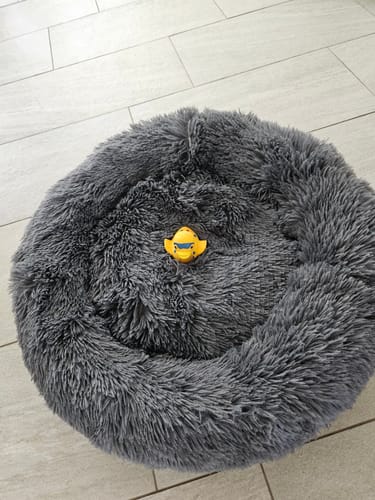 Customer photo review of Hundebett Fluffy Plus - Das Original