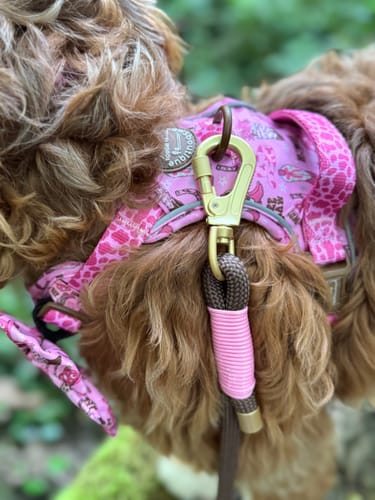 Customer photo review of 4ft Rope Lead - Brown + Pink