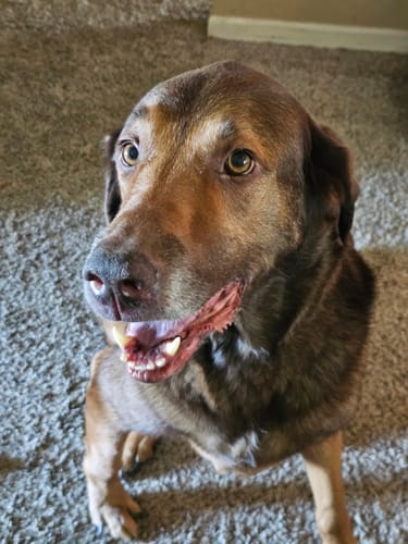 Customer photo review of Pain Relief