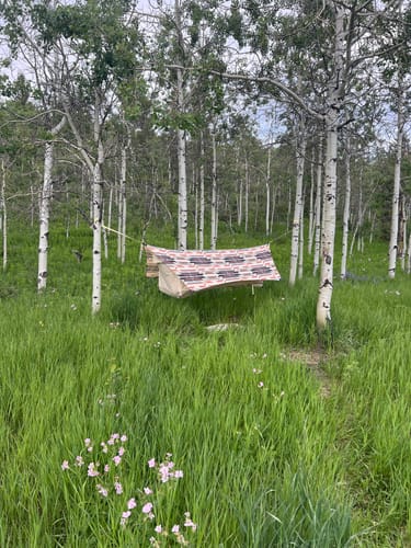 Customer photo review of Haven Safari