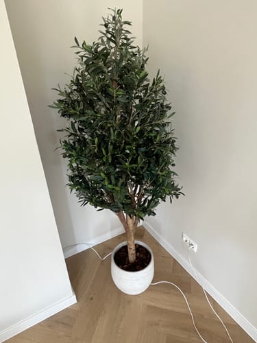 Customer photo review of Kunst Olijfboom 170cm Deluxe
