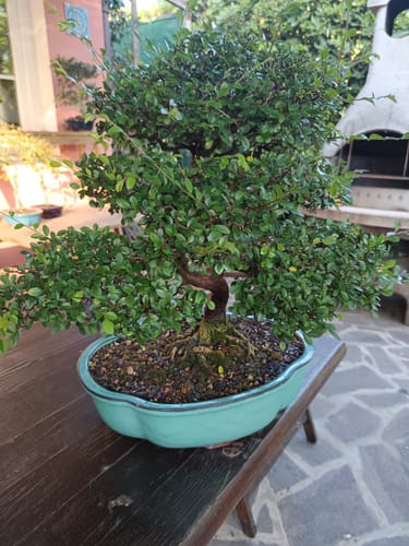 Customer photo review of TESTOSTERONE PACK CB®