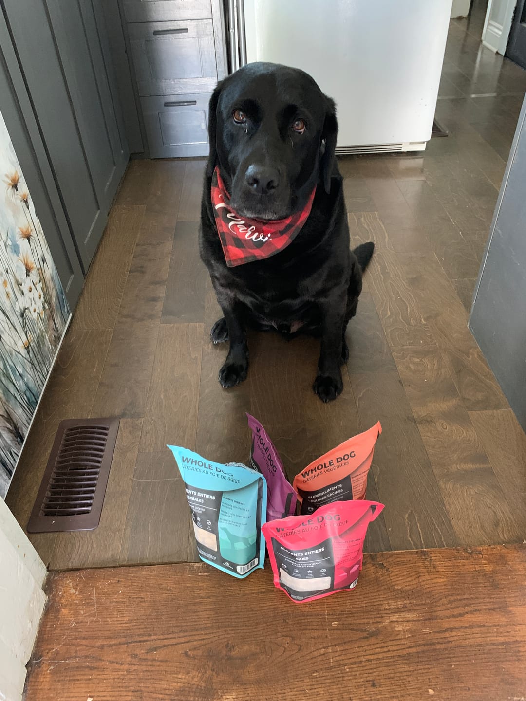 Customer photo review of Whole Dog – Venngo 6-pack