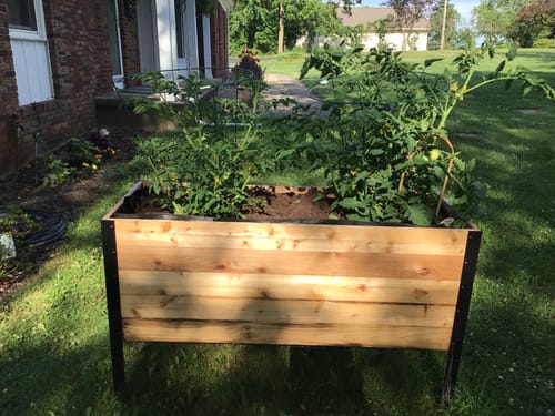 Customer photo review of 18" x 48" Raised Garden Bed - 30" TALL