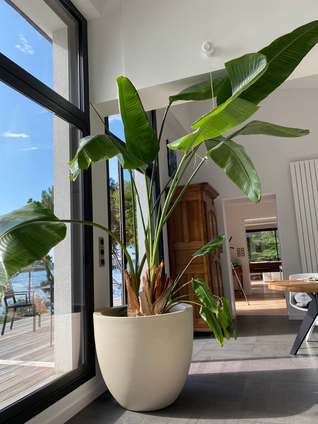 Customer photo review of Pot - Cuenco