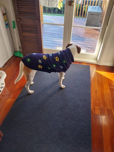 Customer photo review of Knit Dog Sweater Prints