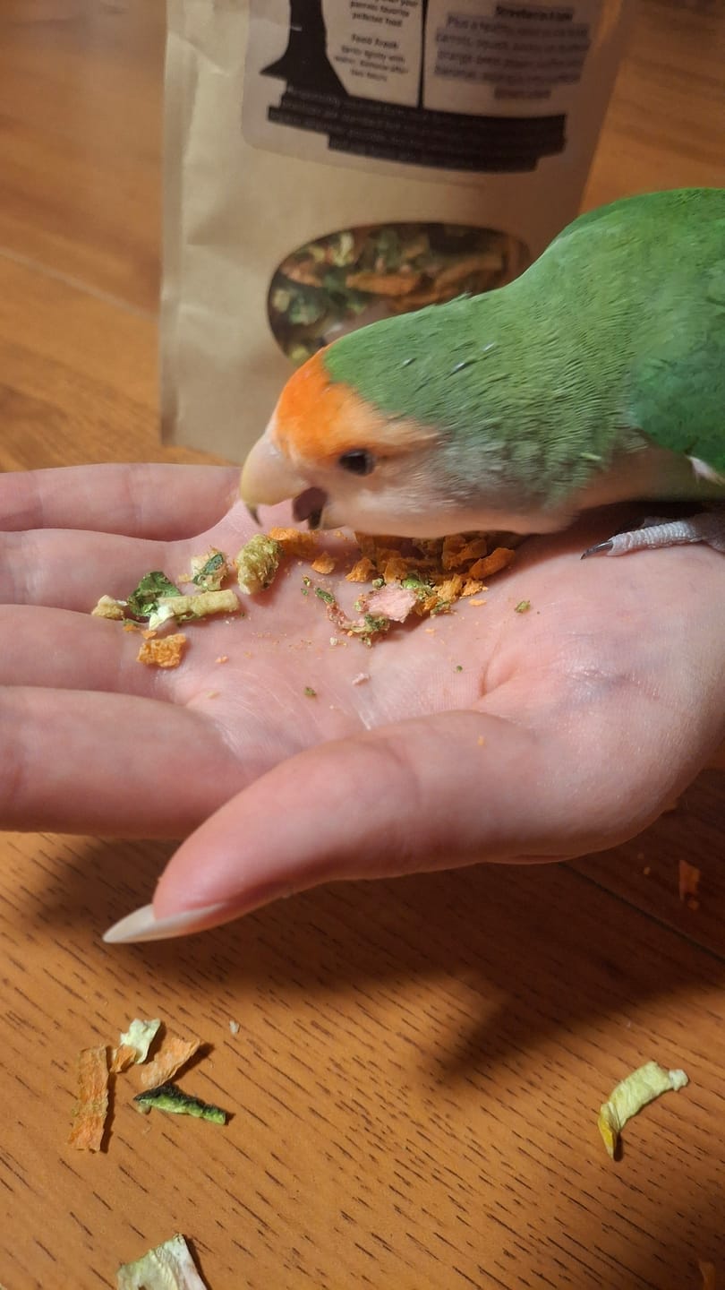 Customer photo review of Bird Bites Freeze Dried Chop - Daily Fruits & Veggies, 4 Flavors to Choose From
