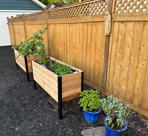Customer photo review of 18" x 48" Raised Garden Bed - 30" TALL