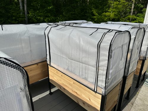 Customer photo review of Greenhouse Cover