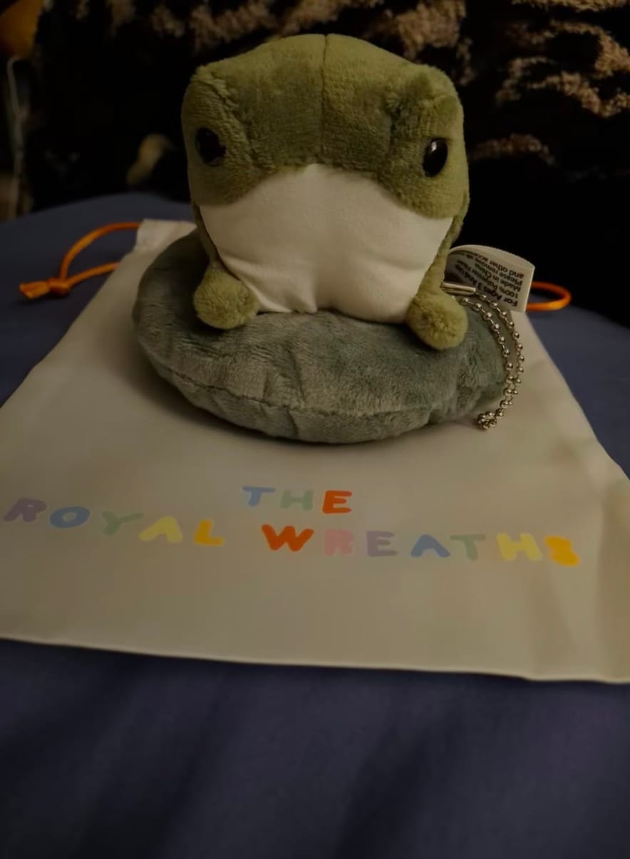 Customer photo review of Henry The Frog Sitting On Lily Pad