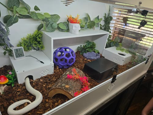 Customer photo review of BlackBox Hides Medium 9x9x4"