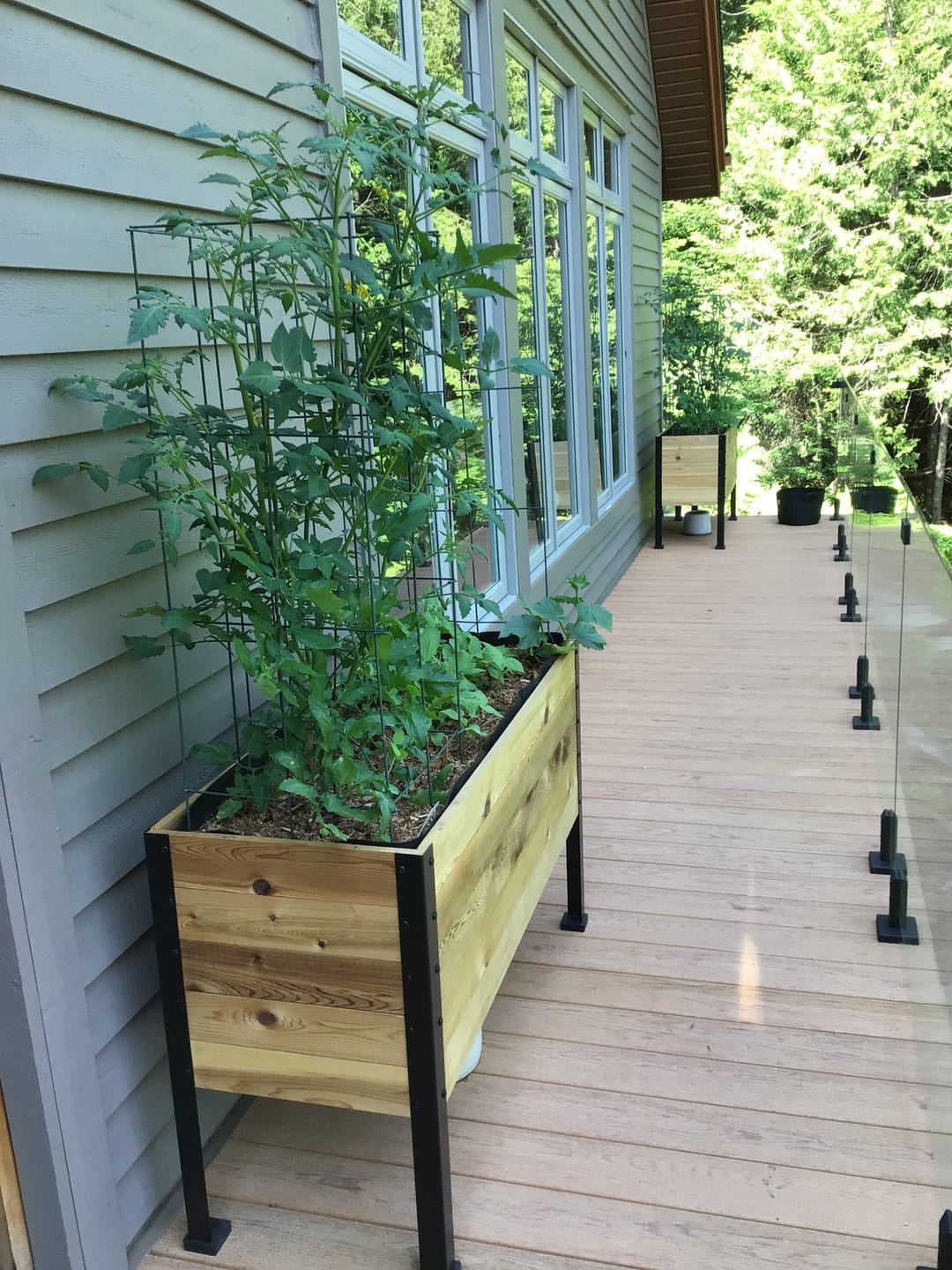 Customer photo review of Greenhouse Cover