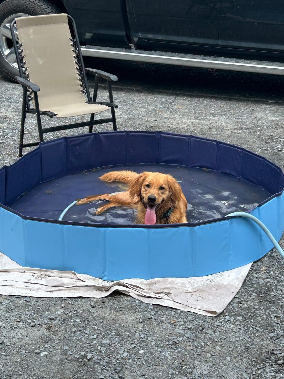 Customer photo review of NEW Pop-Up Foldable Outdoor Dog Bath & Swimming Pool With Side Drain (Aqua Blue)