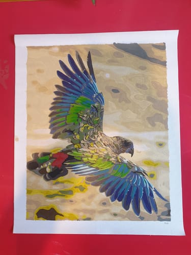 Customer photo review of Kea