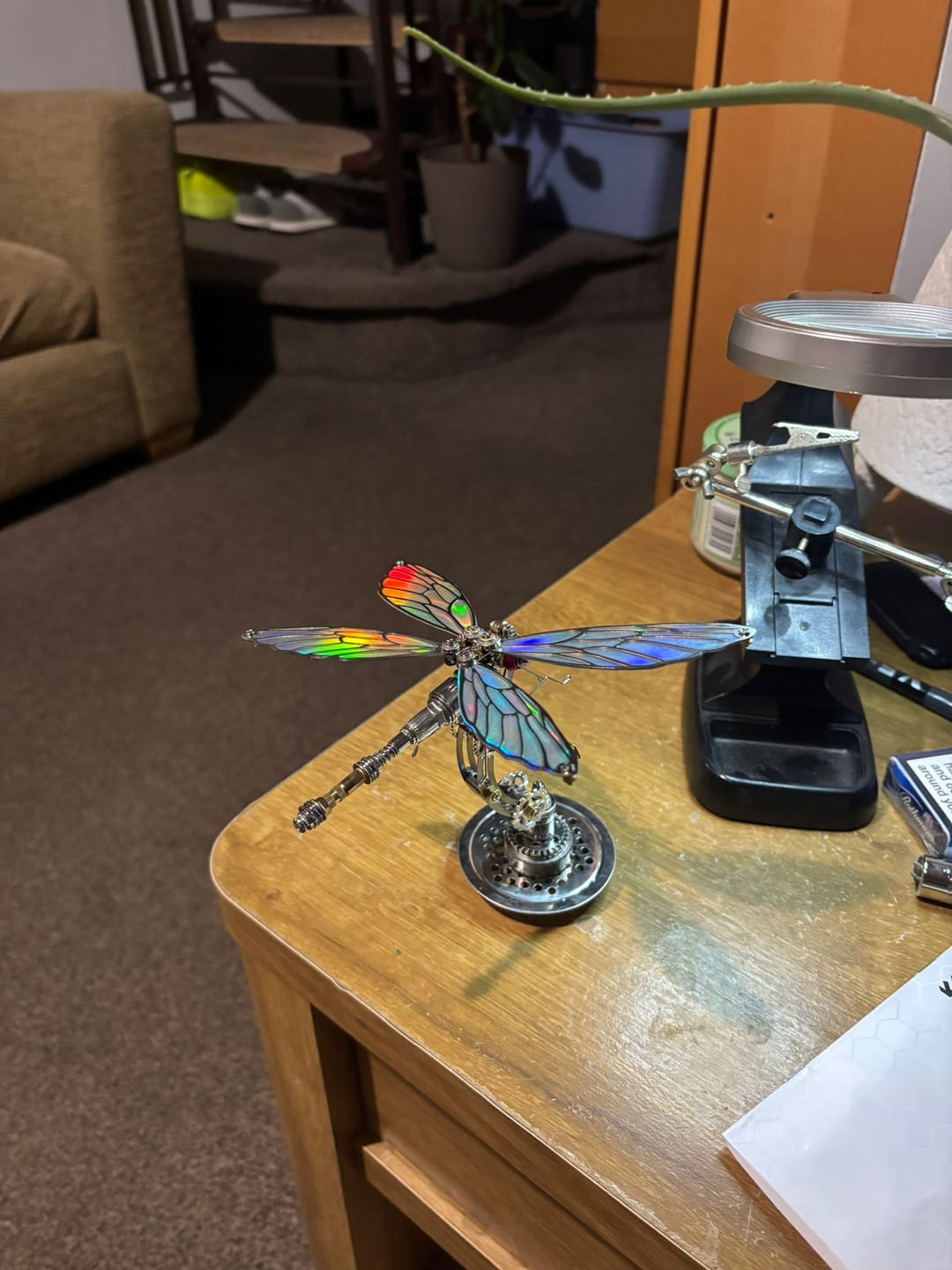 Customer photo review of Dragonfly