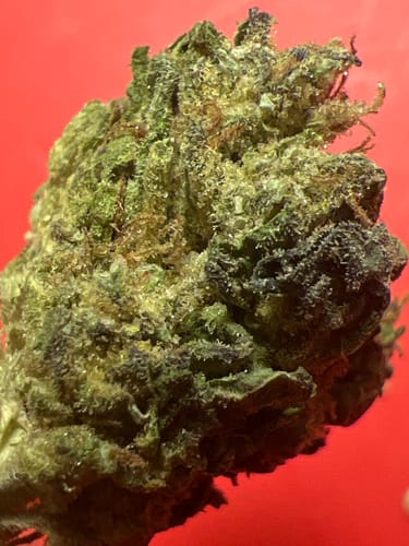 Customer photo review of Matcha THCA Flower Smalls