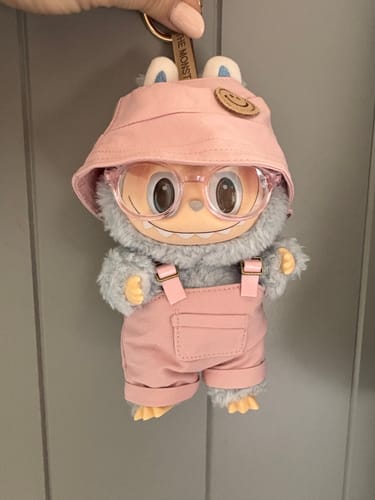 Customer photo review of Pop Mart Labubu The Monsters Tasty Macarons Vinyl Plush Pendant Single Blind Box