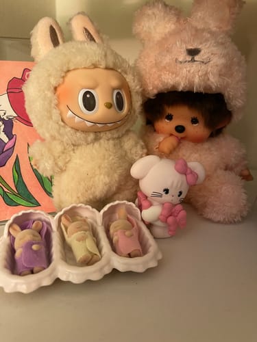 Customer photo review of MIKKO Sweetheart Animal Friends Blind Box