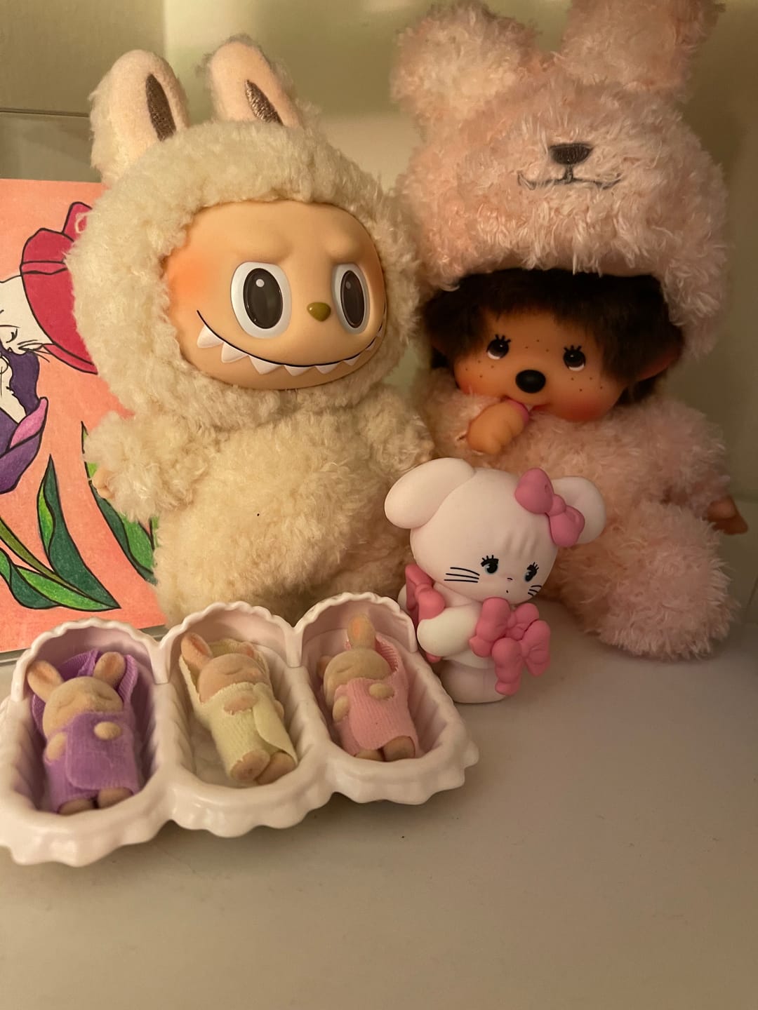 Customer photo review of MIKKO Sweetheart Animal Friends Blind Box