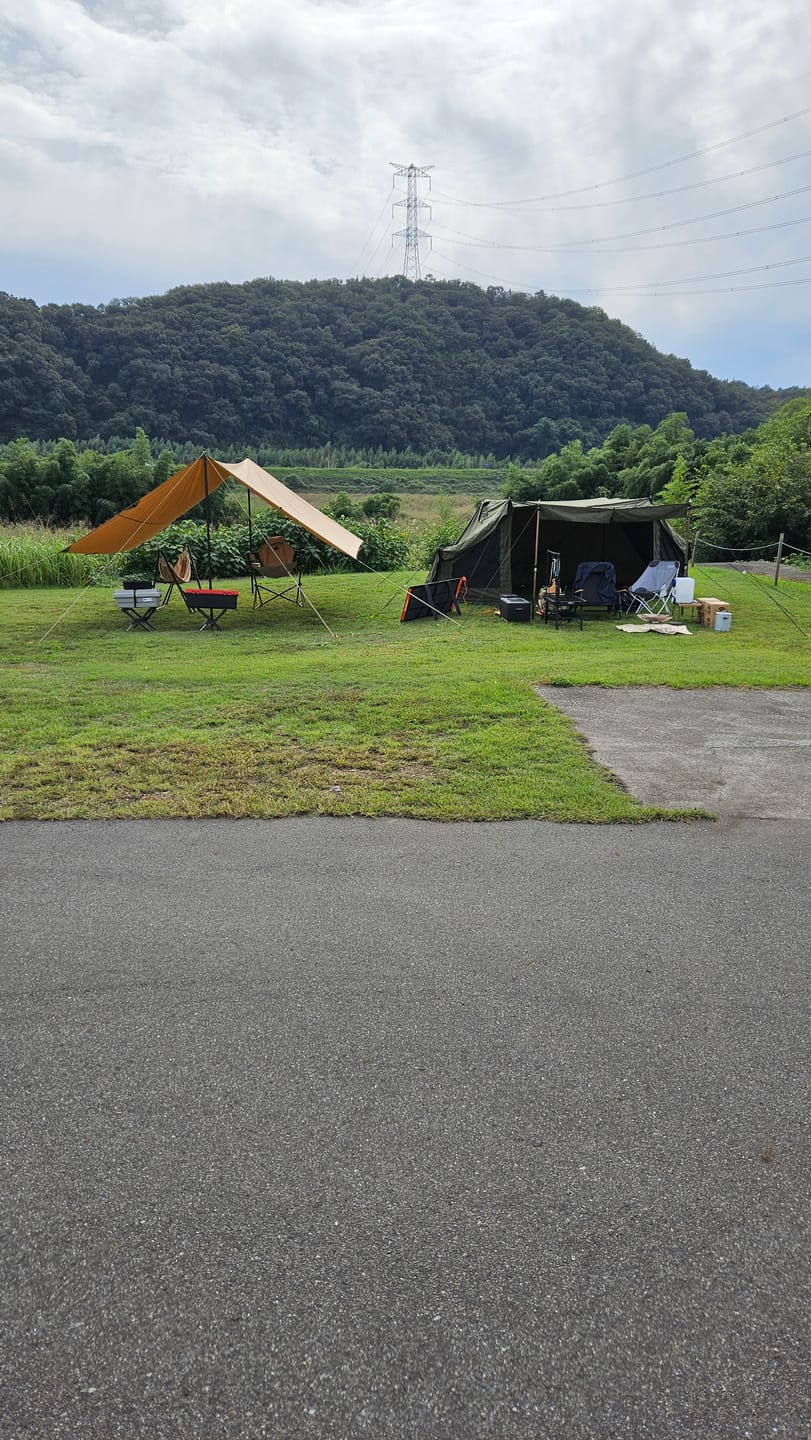 Customer photo review of ADO AIR 20 PRO 折りたたみ電動アシスト自転車 自動変速機能搭載