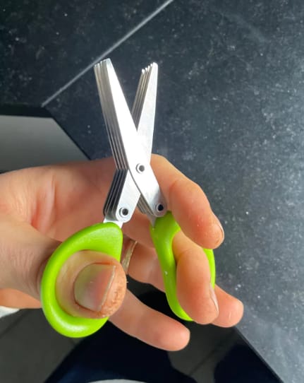 Customer photo review of Multiblades Kitchen Scissors